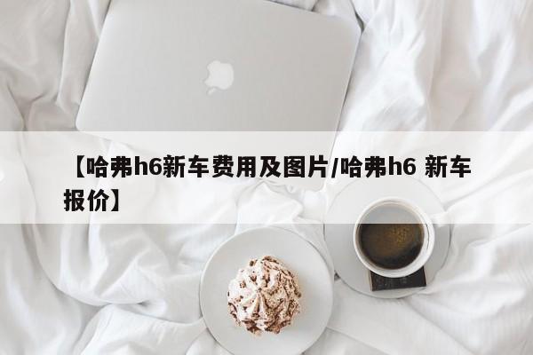 【哈弗h6新车费用及图片/哈弗h6 新车报价】