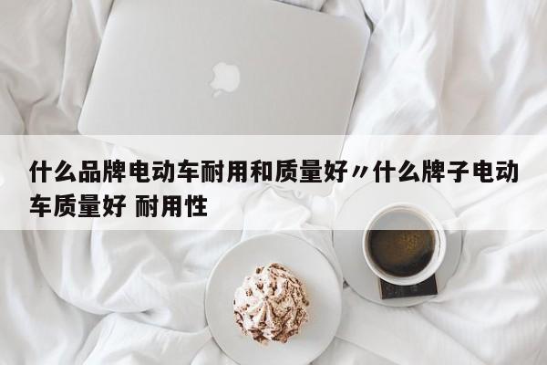 什么品牌电动车耐用和质量好〃什么牌子电动车质量好 耐用性
