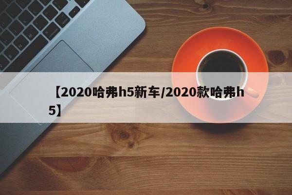 【2020哈弗h5新车/2020款哈弗h5】