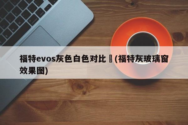 福特evos灰色白色对比︰(福特灰玻璃窗效果图)