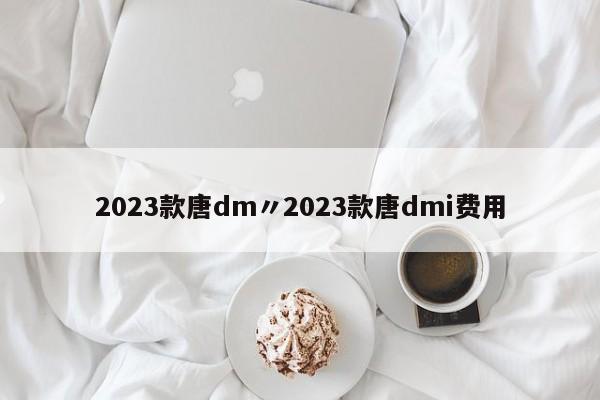 2023款唐dm〃2023款唐dmi费用