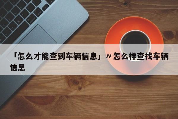 「怎么才能查到车辆信息」〃怎么样查找车辆信息