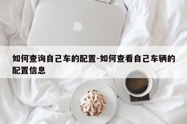 如何查询自己车的配置-如何查看自己车辆的配置信息