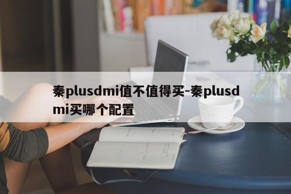 秦plusdmi值不值得买-秦plusdmi买哪个配置