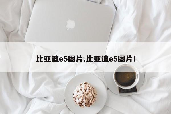 比亚迪e5图片.比亚迪e5图片!