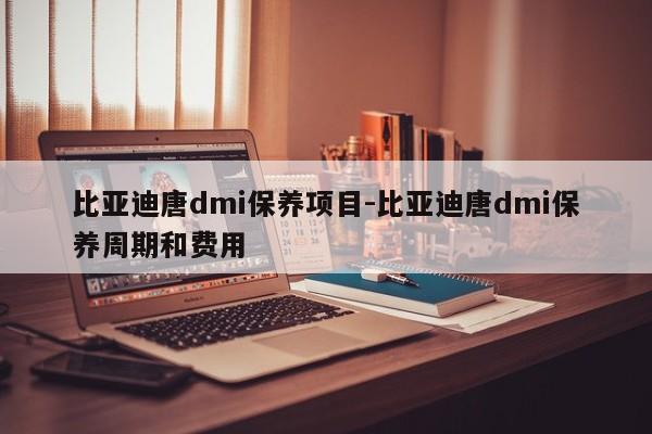 比亚迪唐dmi保养项目-比亚迪唐dmi保养周期和费用