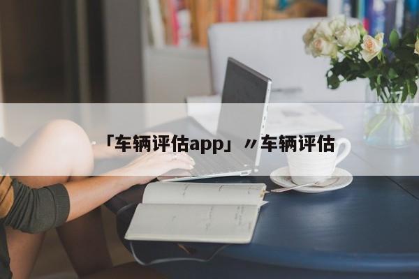 「车辆评估app」〃车辆评估